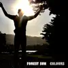 Forest Sun - Colours - Single